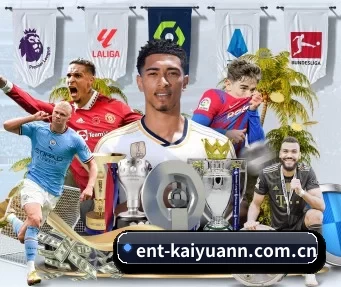 ent-kaiyuann.com.cn APP